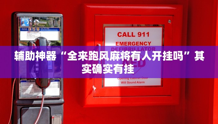 辅助神器“葫芦岛58麻将免费下挂”其实确实有挂 