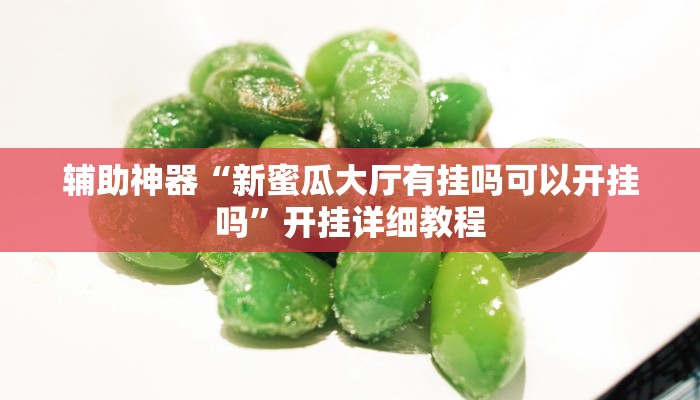 辅助神器“德州wepoker作弊辅助开挂透视方法”其实确实有挂 