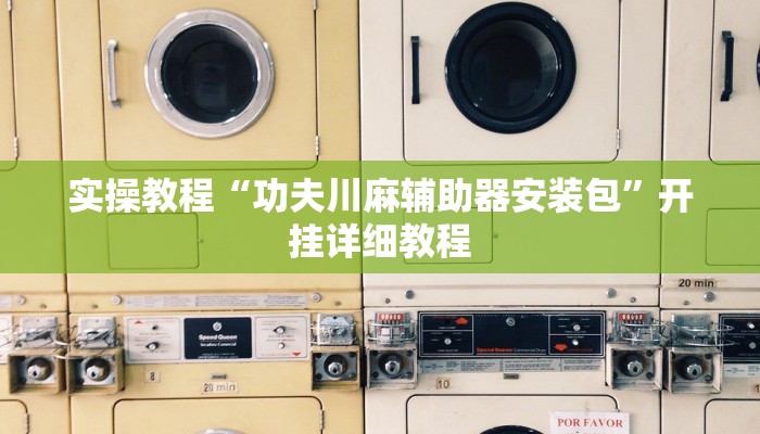 实操教程“桃乐甘肃麻将到底有没有挂”详细教程辅助工具