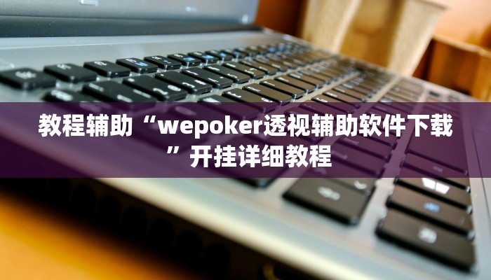 教程辅助“wepoker透视辅助软件下载 ”开挂详细教程
