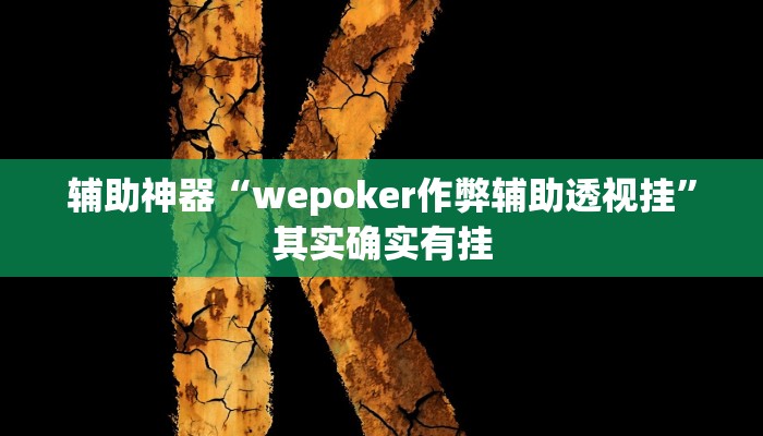 辅助神器“wepoker作弊辅助透视挂”其实确实有挂
