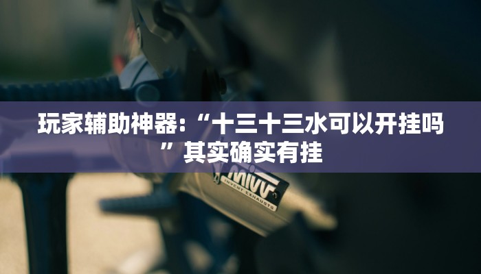 辅助神器“白金岛三打哈开挂方法”(详细开挂教程)