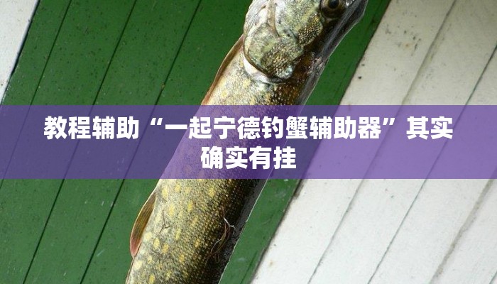 辅助神器“17好友麻将巴彦麻将怎么下挂”其实确实有挂 