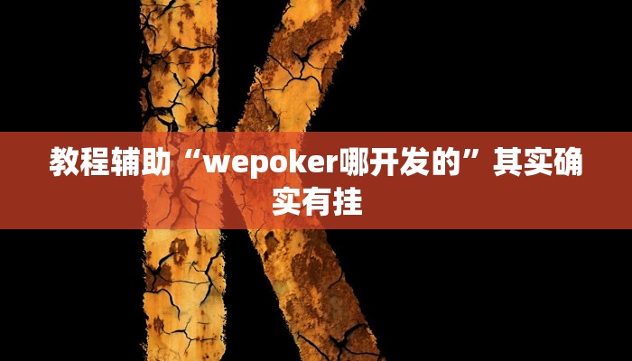 教程辅助“wepoker哪开发的”其实确实有挂 教程辅助“wepoker哪开发的”其实确实有挂