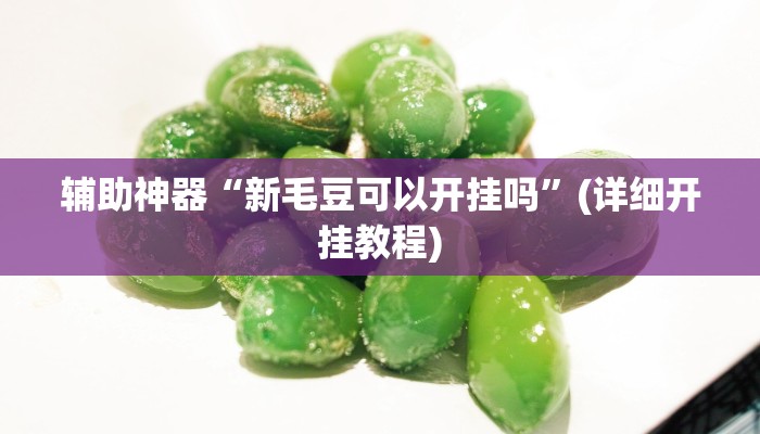 辅助神器“新毛豆可以开挂吗”(详细开挂教程)