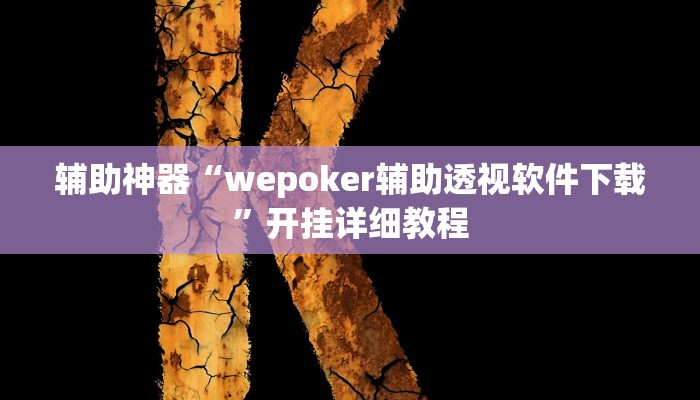 辅助神器“wepoker辅助透视软件下载”开挂详细教程