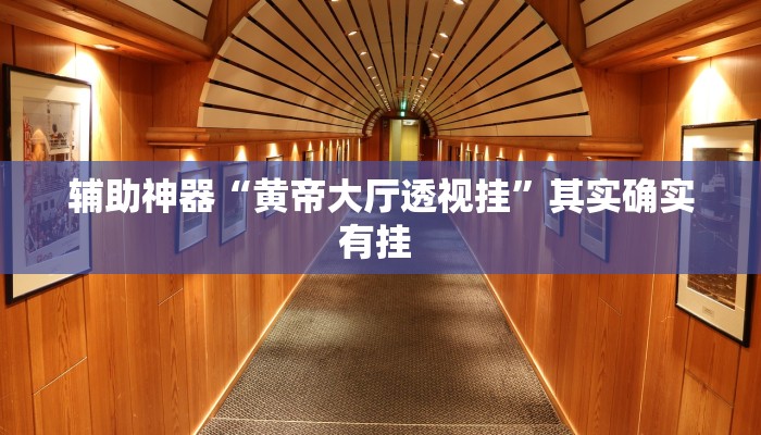 辅助神器“黄帝大厅透视挂”其实确实有挂 