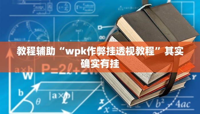 教程辅助“wpk作弊挂透视教程”其实确实有挂