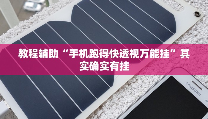 教程辅助“手机跑得快透视万能挂”其实确实有挂