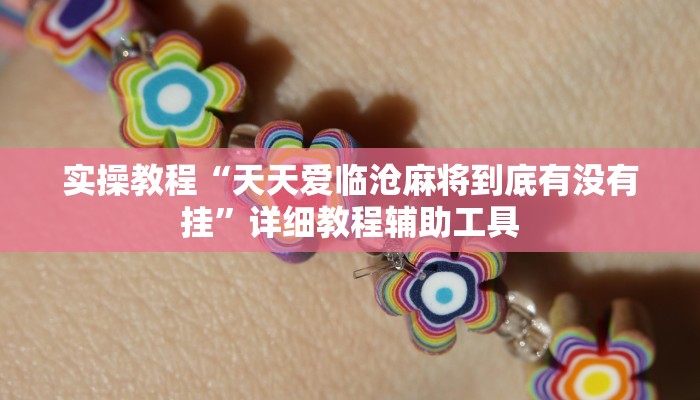 实操教程“天天爱临沧麻将到底有没有挂”详细教程辅助工具