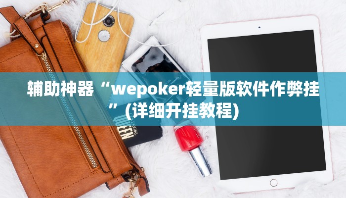 辅助神器“wepoker轻量版软件作弊挂”(详细开挂教程)