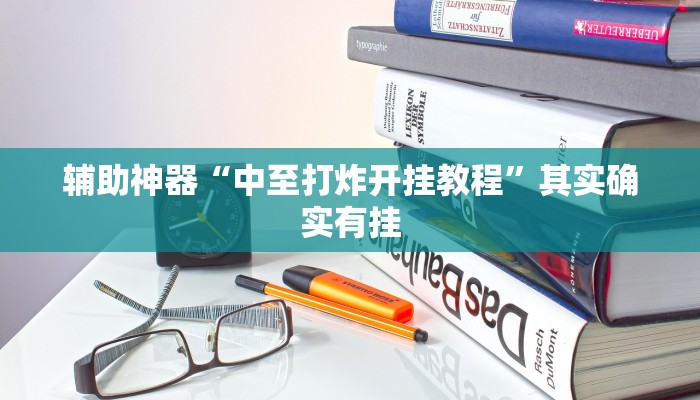 辅助神器“中至打炸开挂教程”其实确实有挂