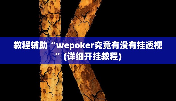 教程辅助“wepoker究竟有没有挂透视”(详细开挂教程)