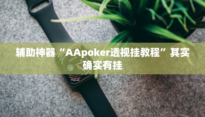 辅助神器“AApoker透视挂教程”其实确实有挂