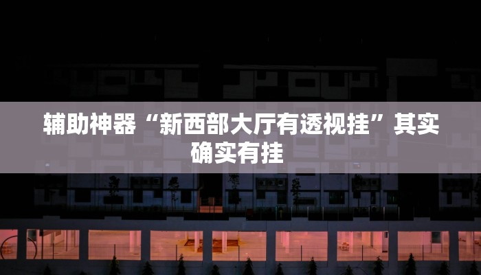 辅助神器“新西部大厅有透视挂”其实确实有挂 