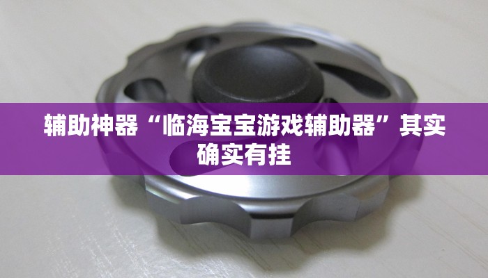 辅助神器“临海宝宝游戏辅助器”其实确实有挂