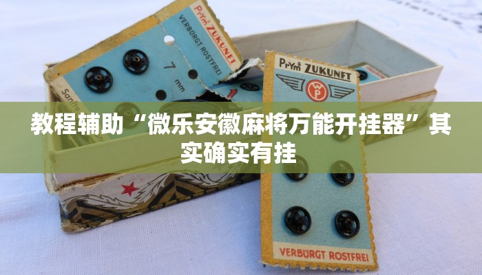 教程辅助“微乐安徽麻将万能开挂器”其实确实有挂 教程辅助“微乐安徽麻将万能开挂器”其实确实有挂