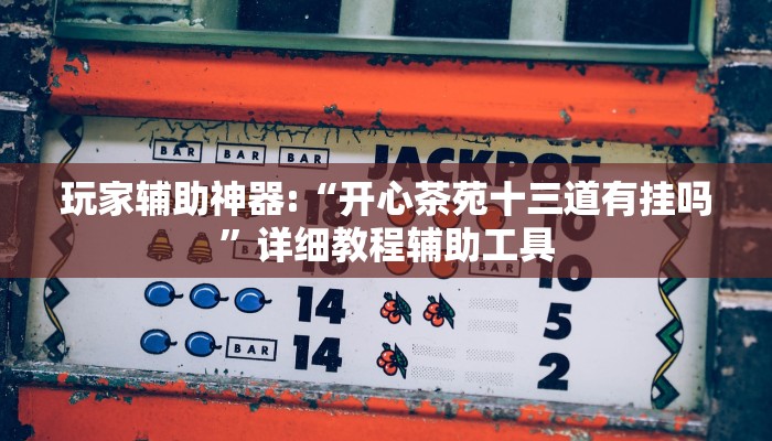 玩家辅助神器:“开心茶苑十三道有挂吗”详细教程辅助工具