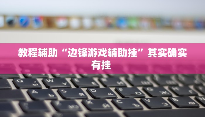 教程辅助“边锋游戏辅助挂”其实确实有挂 