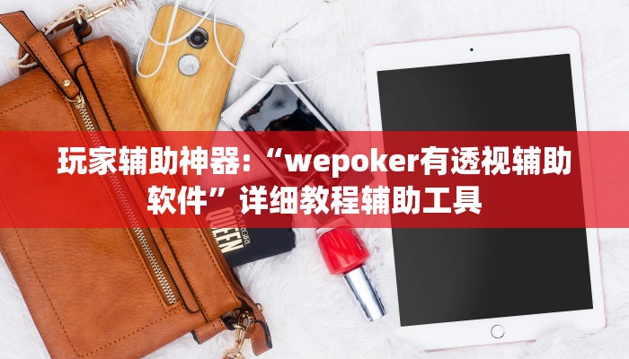 玩家辅助神器:“wepoker有透视辅助软件”详细教程辅助工具