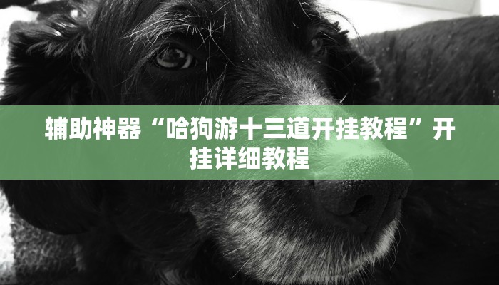 辅助神器“哈狗游十三道开挂教程”开挂详细教程