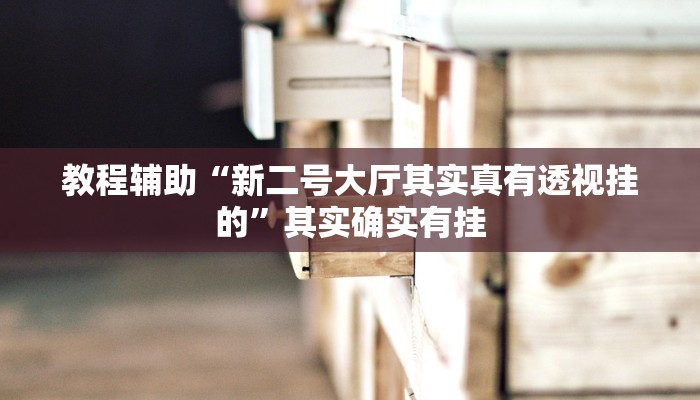 教程辅助“新二号大厅其实真有透视挂的”其实确实有挂