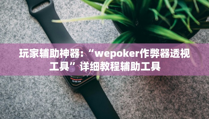 玩家辅助神器:“wepoker作弊器透视工具”详细教程辅助工具